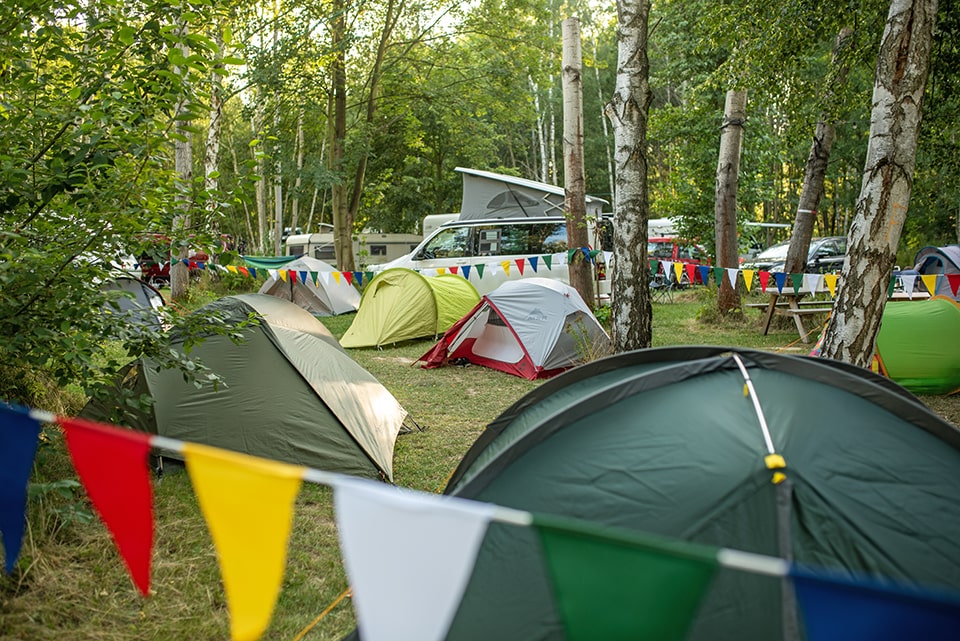 Zwischen Birken und Buchen - Camping in der grünen Oase!