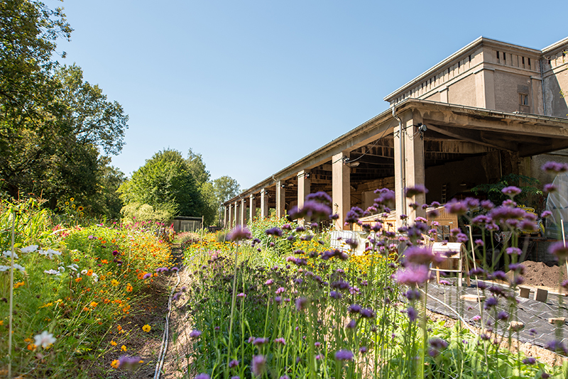Garagengemälde von Sokar Uno